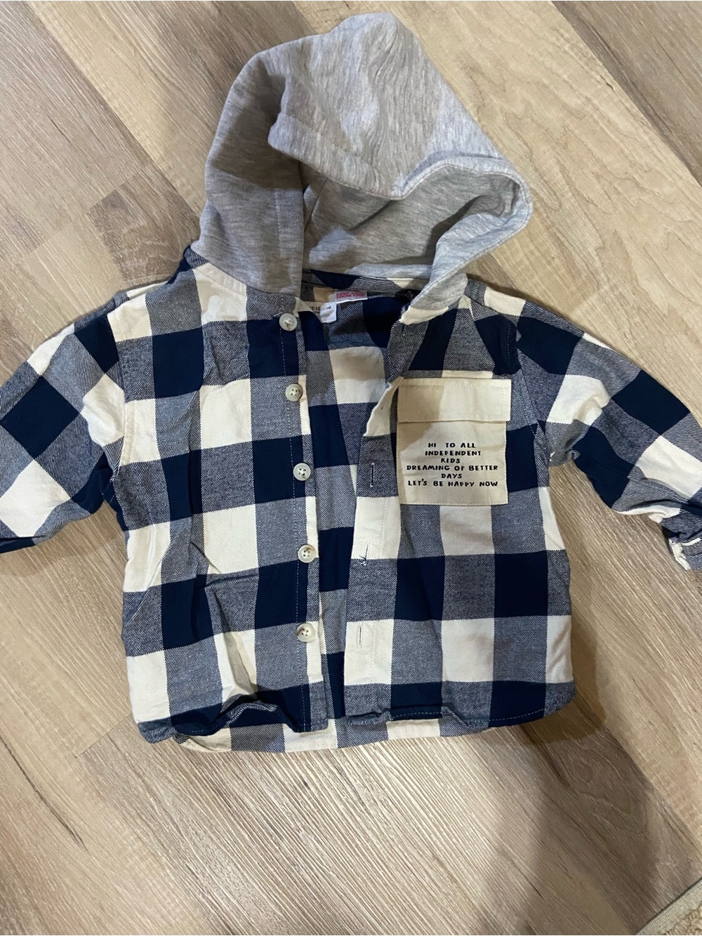 Zara Navy & Cream Plaid Hooded Button-Down Shirt